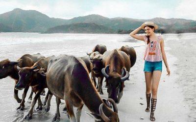 5 Trik Memilih Sewa Mobil Untuk Liburan